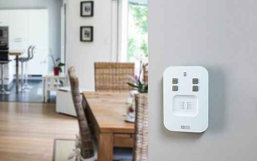 Schützen Sie Ihr wertvollstes Eigentum mit einer Smart Home-Alarmanlage von Delta Dore.